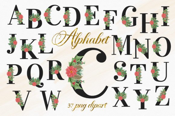 Christmas Floral Alphabet Numbers: Festive Illustrations